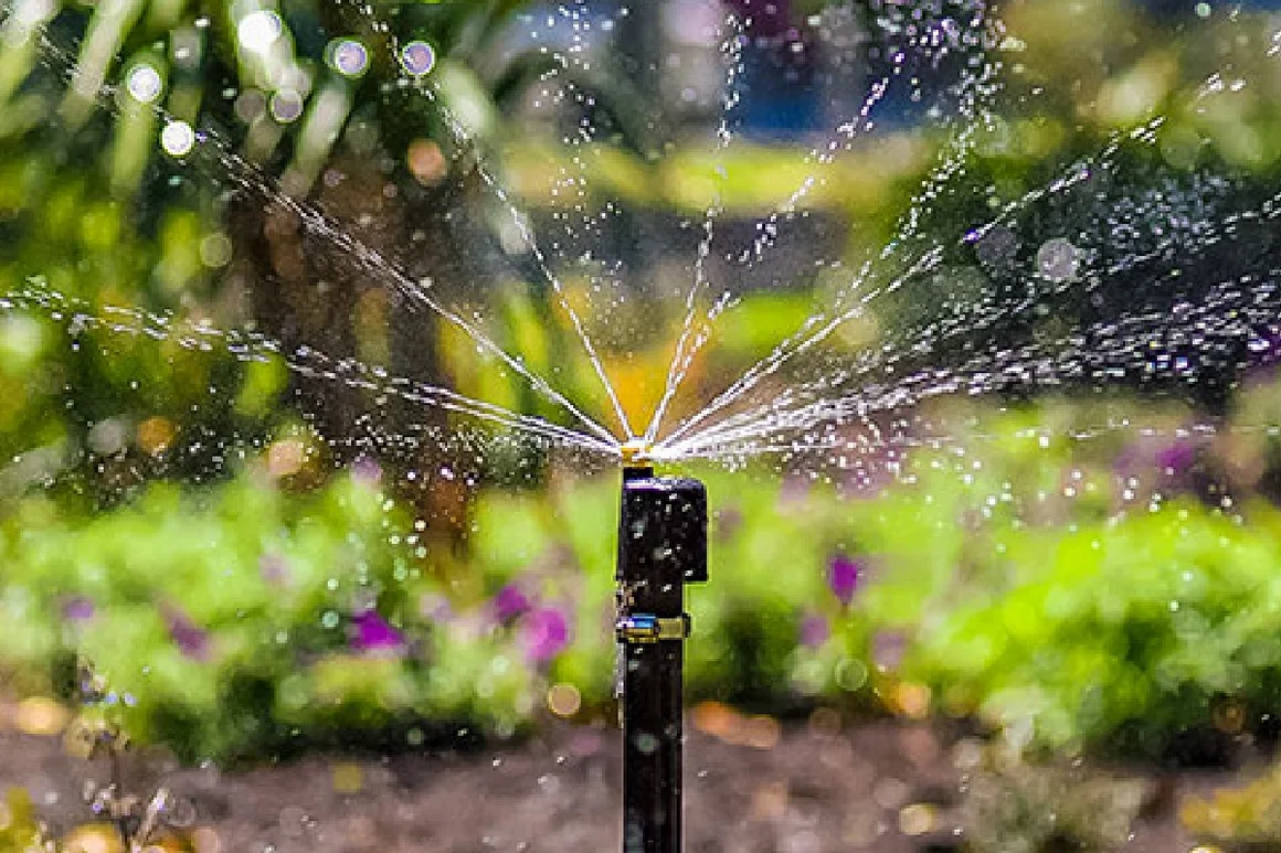 Sprinkler bewässert einen Garten